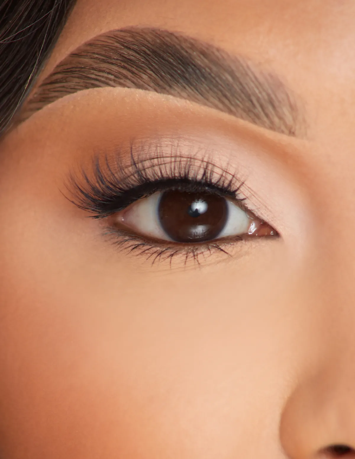 P. Louise P.Louise Lashes - One Last Love- Lashes